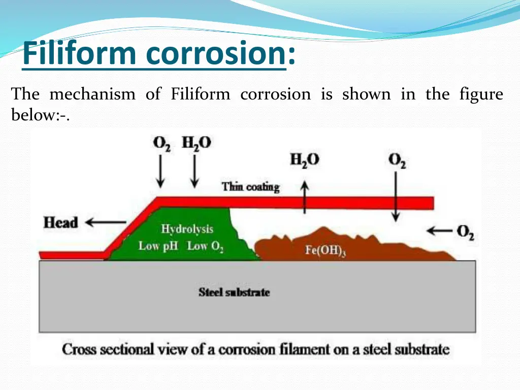 filiform corrosion 2