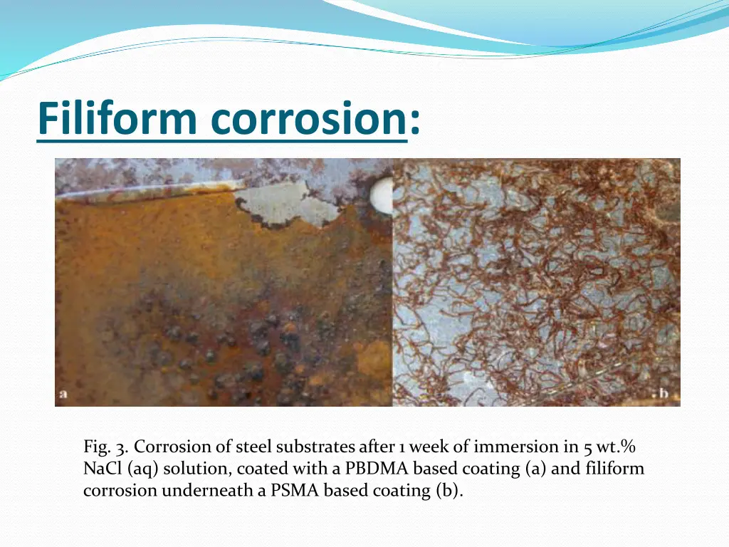 filiform corrosion 4