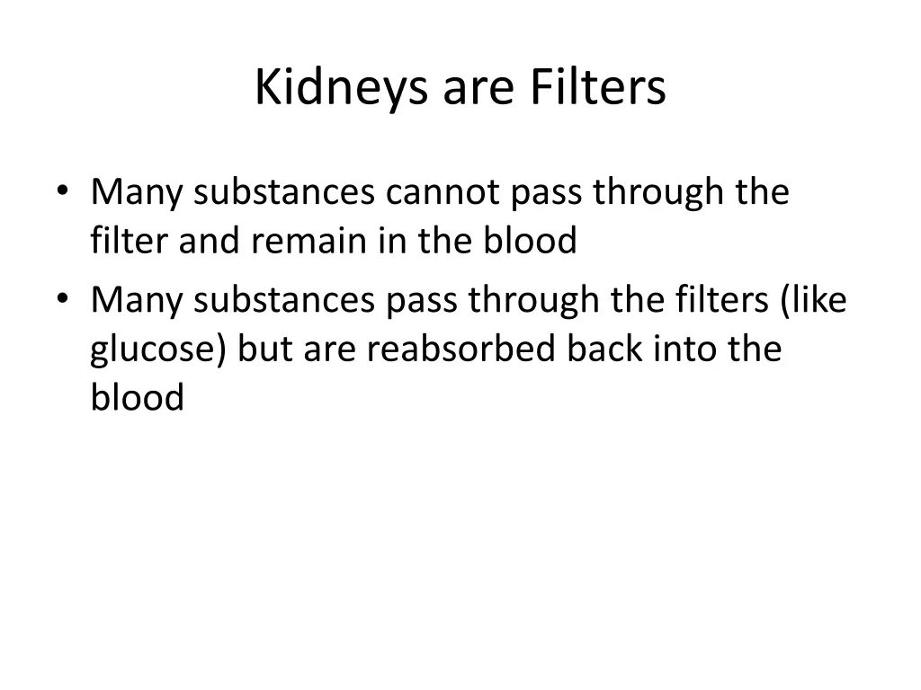 kidneys are filters 1