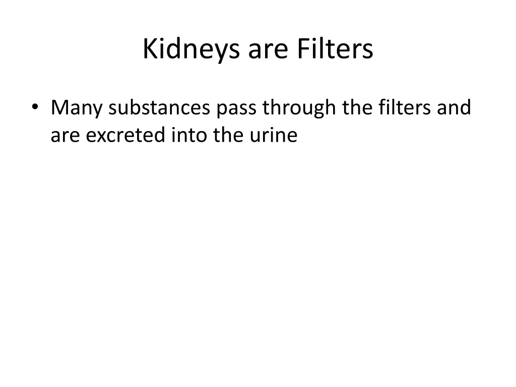 kidneys are filters 2