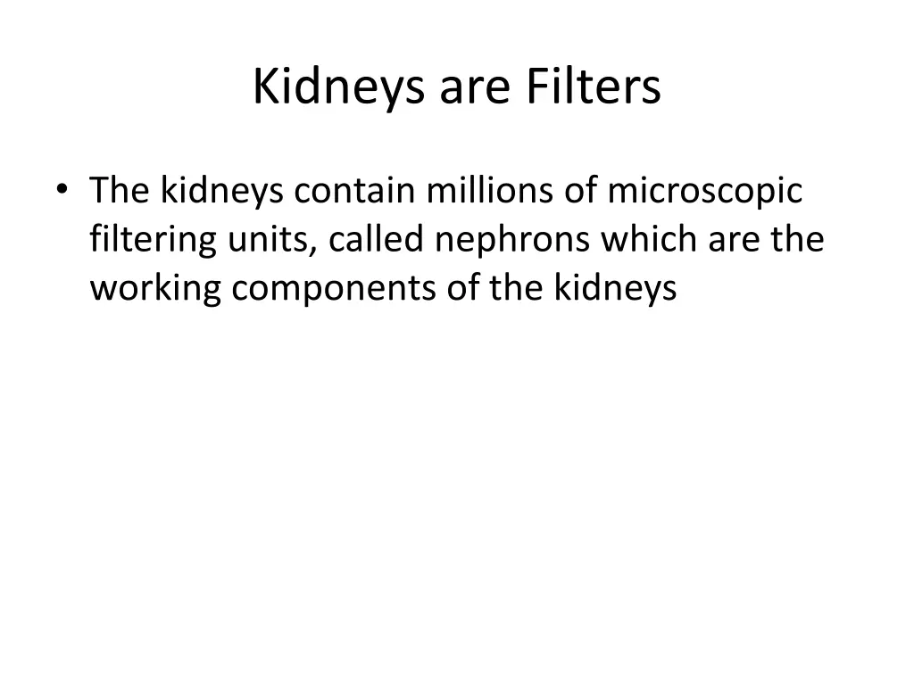 kidneys are filters