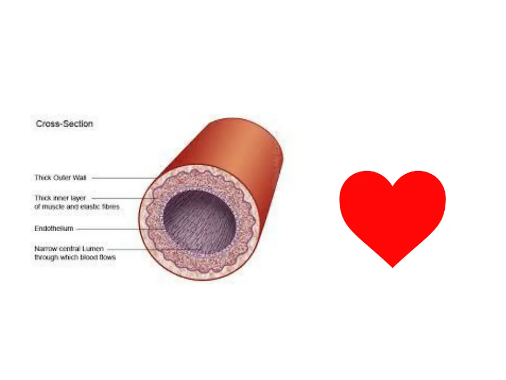 slide2