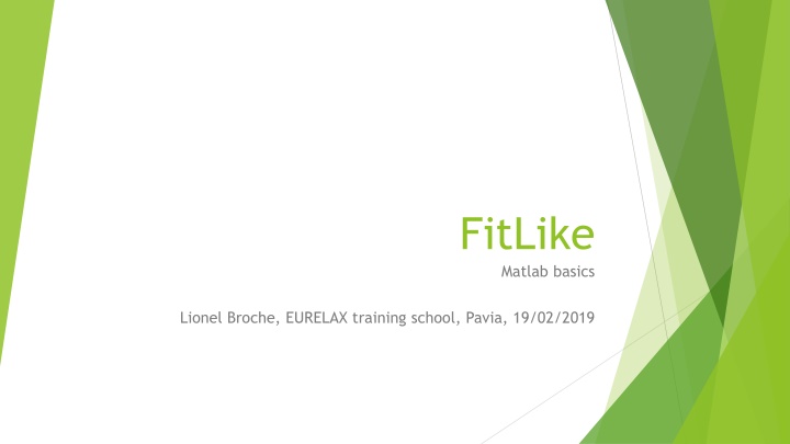 fitlike matlab basics