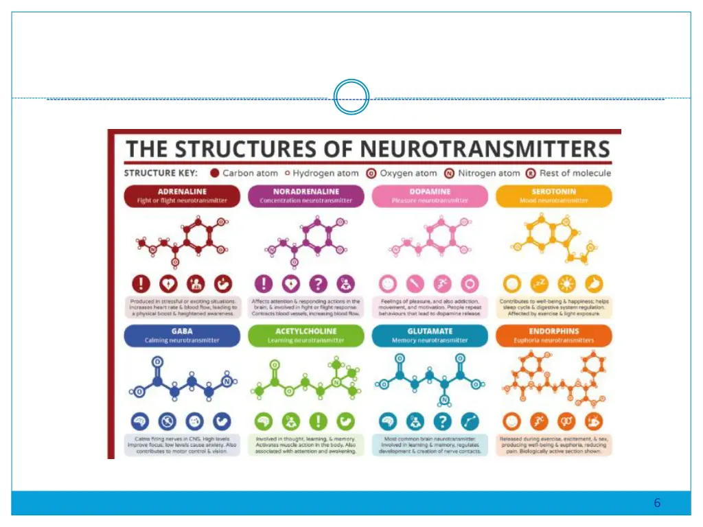 slide6
