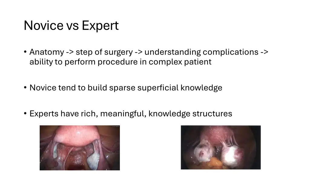 novice vs expert
