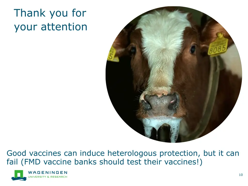 thank you for your attention