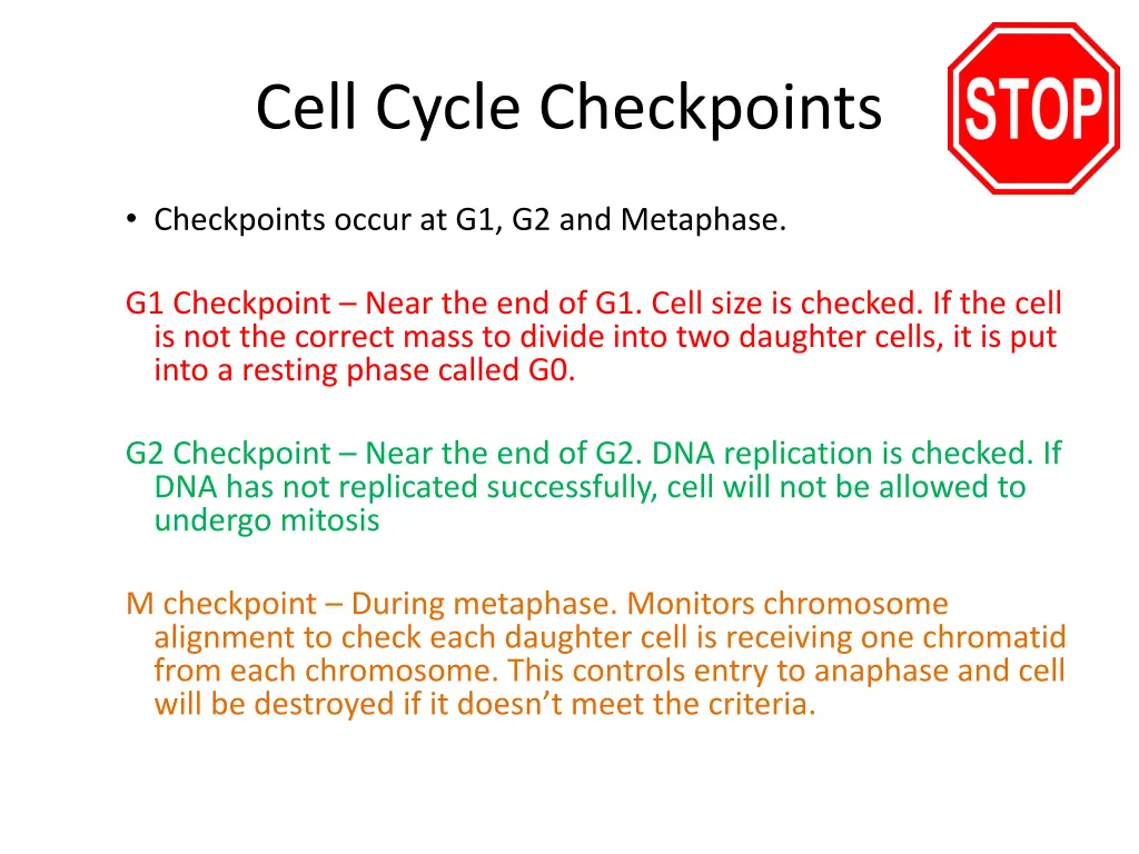 cell cycle checkpoints