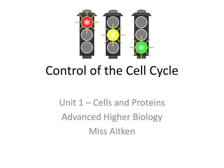 control of the cell cycle