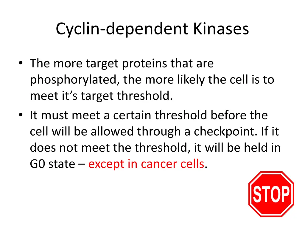 cyclin dependent kinases 1