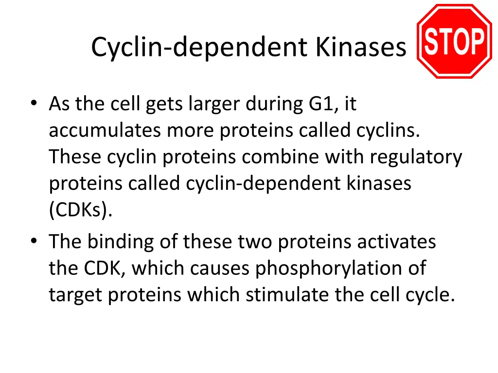 cyclin dependent kinases