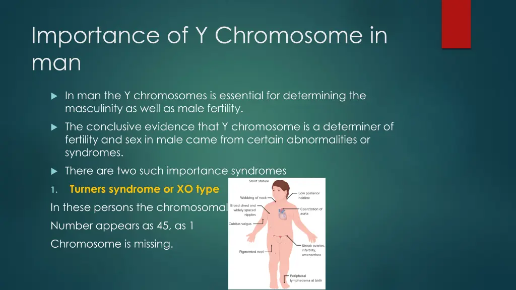 importance of y chromosome in man