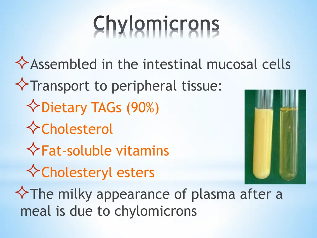 chylomicrons