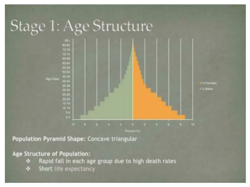 slide13