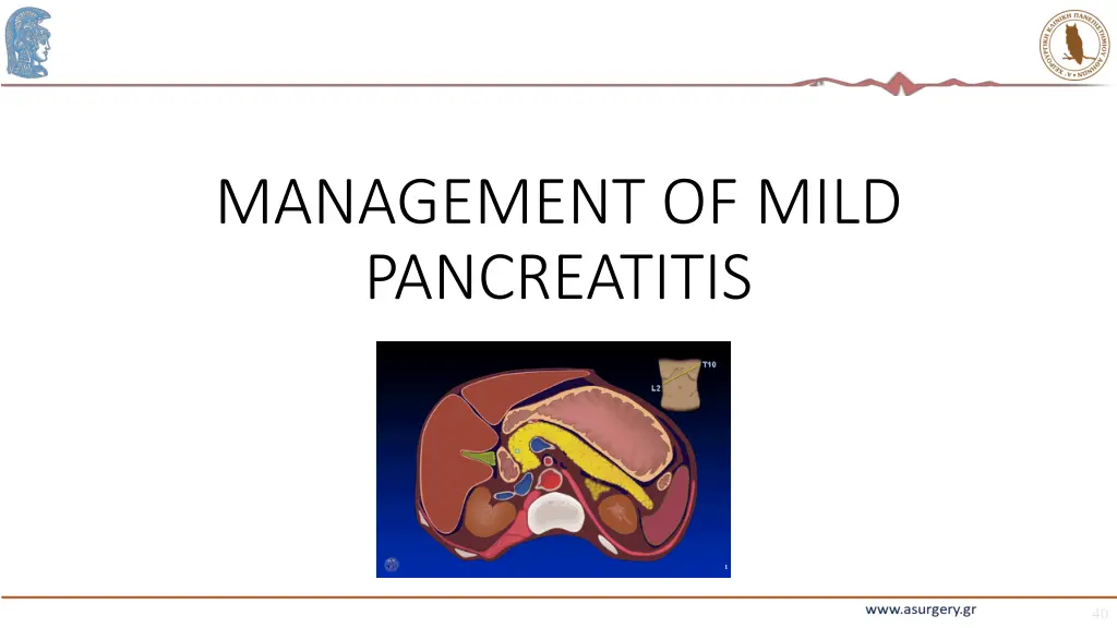 management of mild pancreatitis