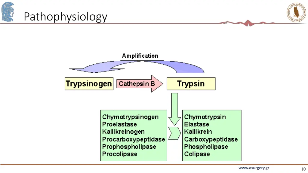 pathophysiology 7