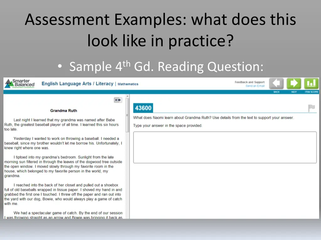 assessment examples what does this look like