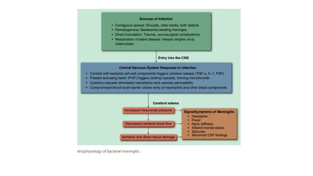 slide5