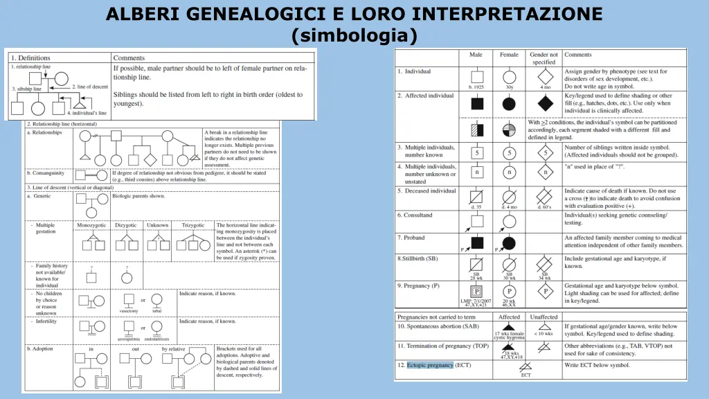 alberi genealogici e loro interpretazione 1