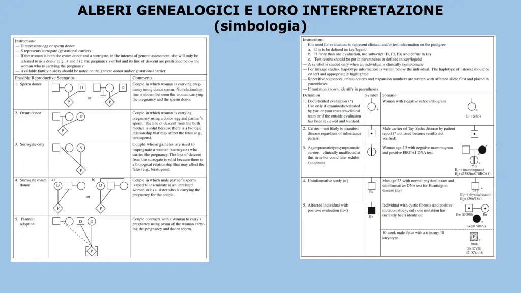 alberi genealogici e loro interpretazione 2