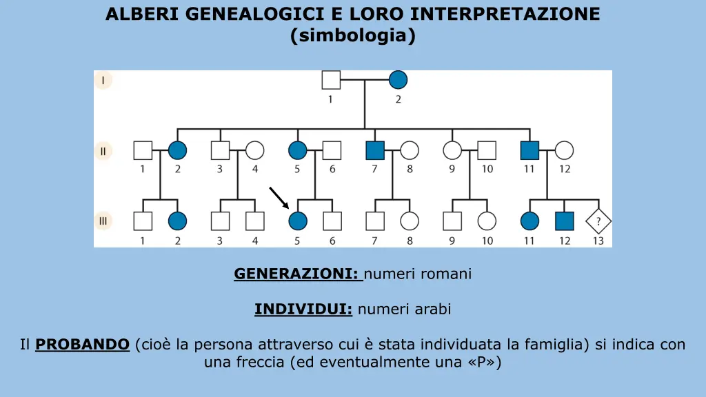 alberi genealogici e loro interpretazione 3