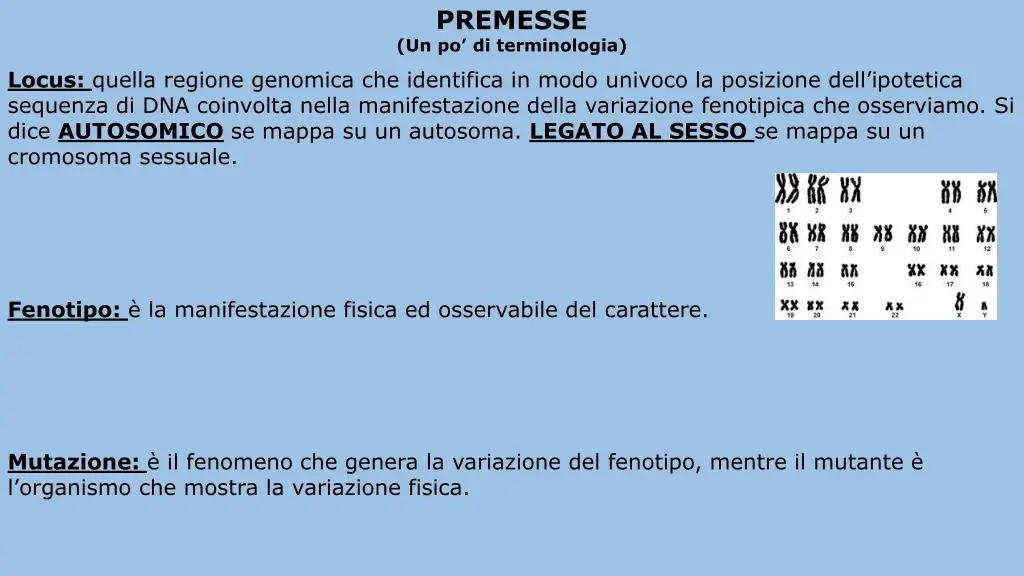 premesse un po di terminologia 1