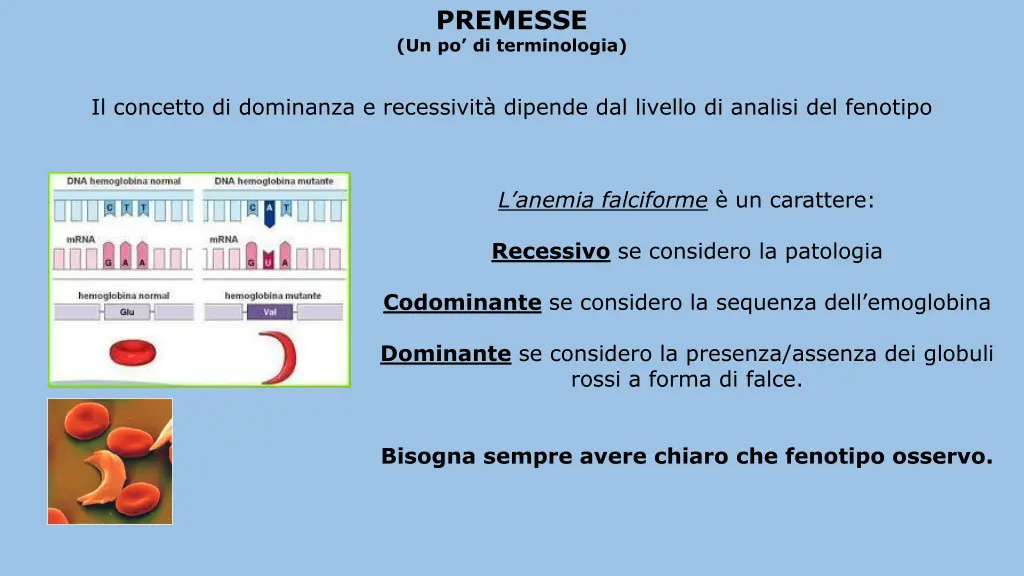 premesse un po di terminologia 4