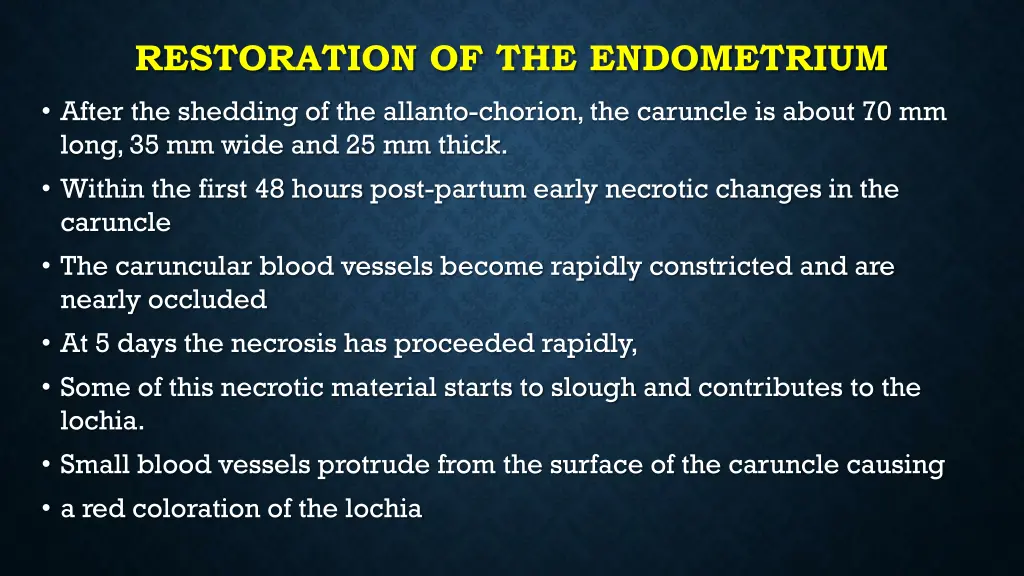 restoration of the endometrium