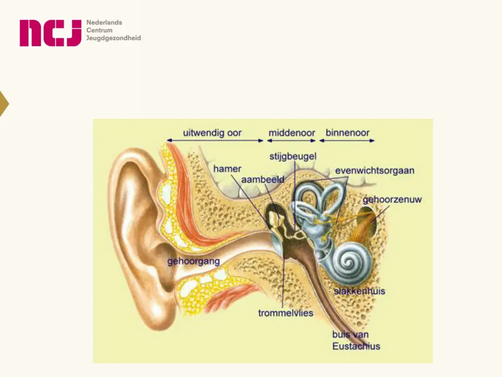 slide10