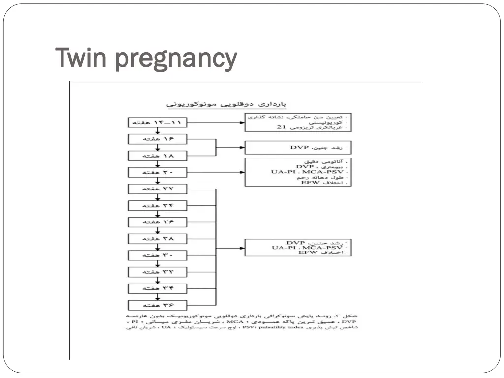 twin pregnancy twin pregnancy 1