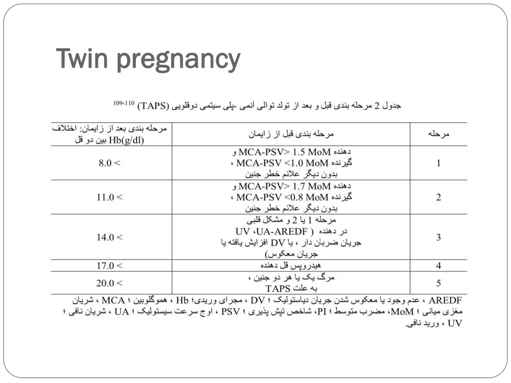 twin pregnancy twin pregnancy 3
