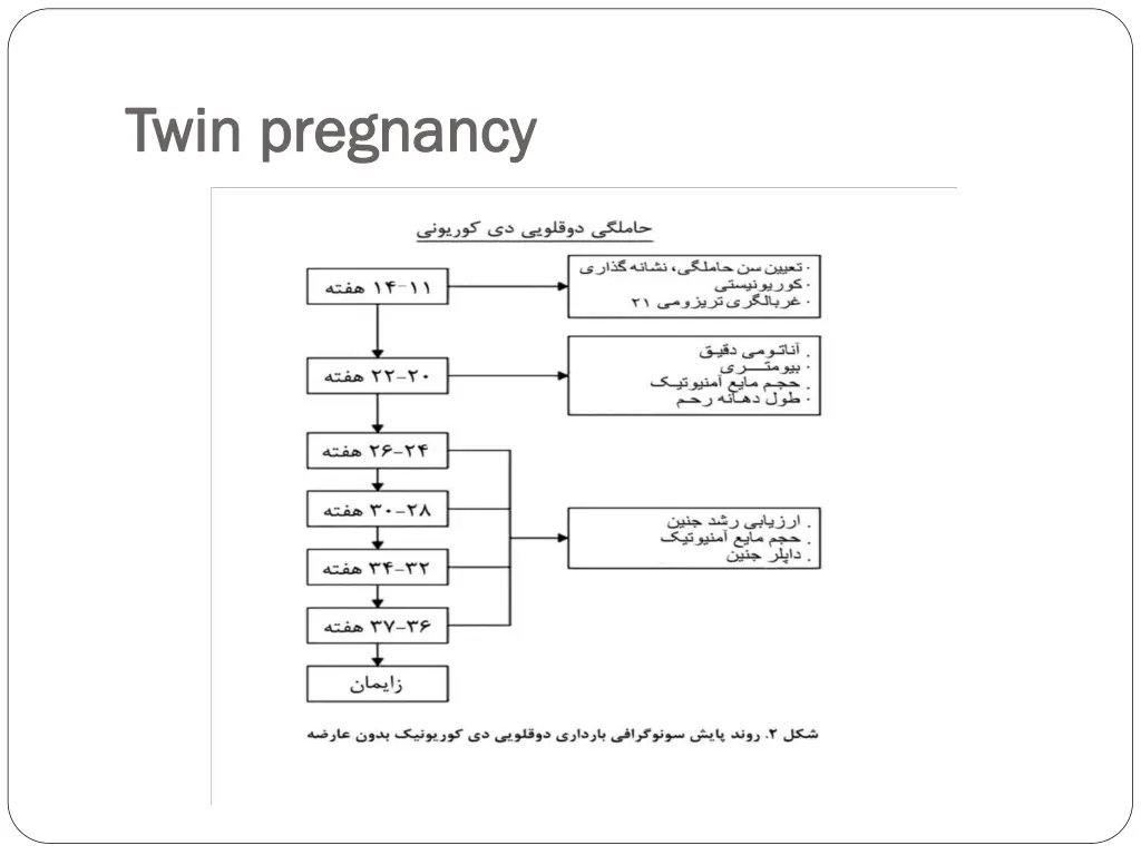 twin pregnancy twin pregnancy