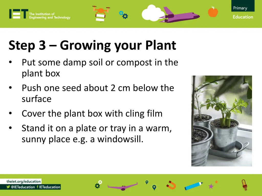step 3 growing your plant put some damp soil