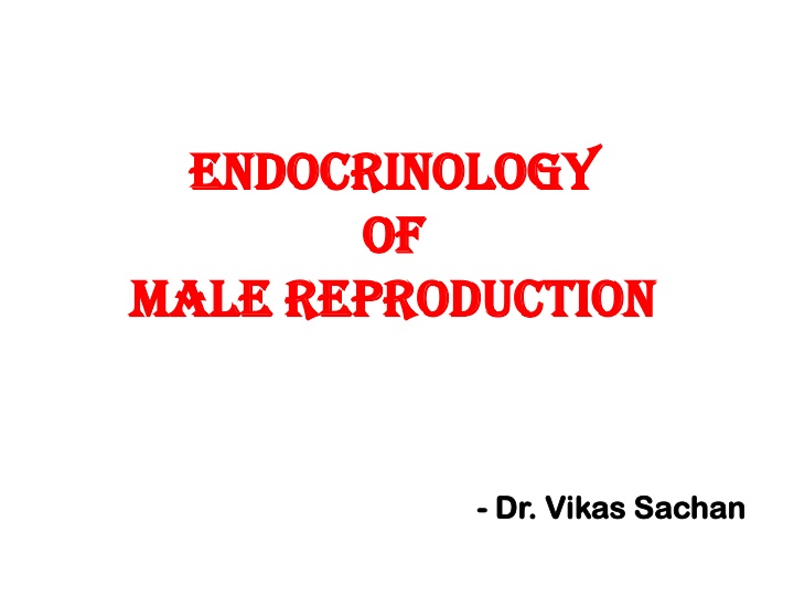 endocrinology endocrinology of of male