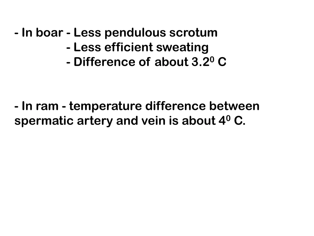 in boar less pendulous scrotum less efficient