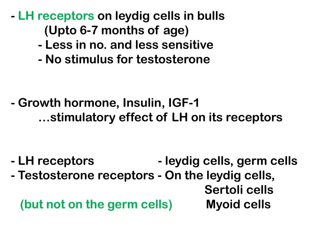 lh receptors on leydig cells in bulls upto