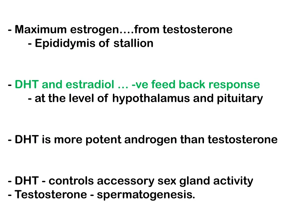 maximum estrogen from testosterone epididymis