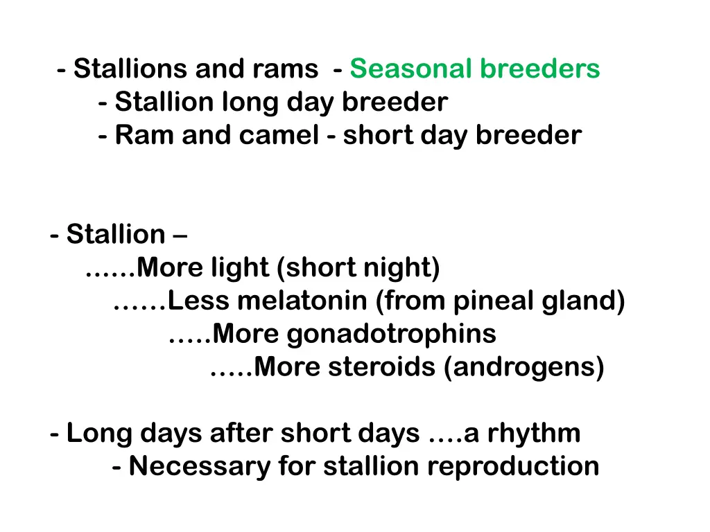 stallions and rams seasonal breeders stallion