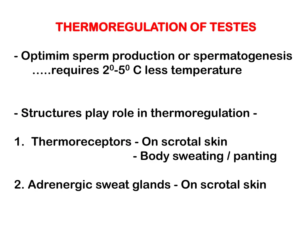 thermoregulation of testes thermoregulation