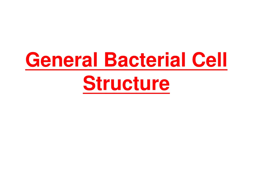 general bacterial cell structure