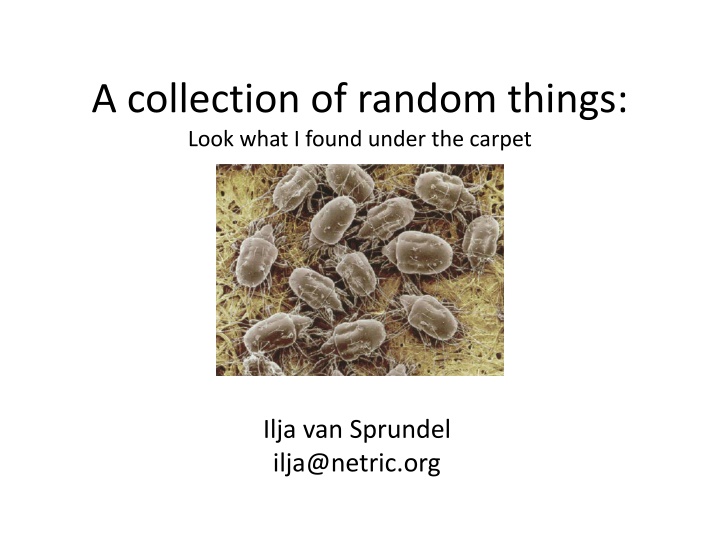a collection of random things look what i found
