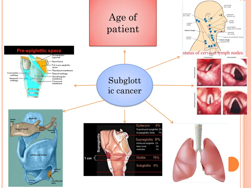 age of patient