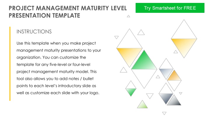project management maturity level presentation