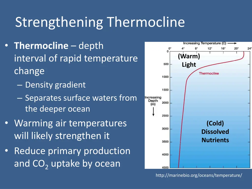 strengthening thermocline
