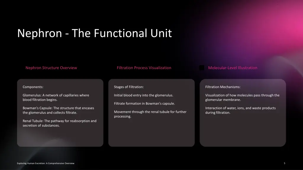 nephron the functional unit