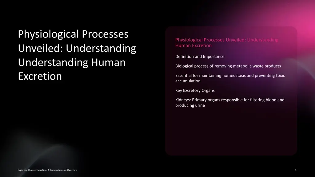 physiological processes unveiled understanding