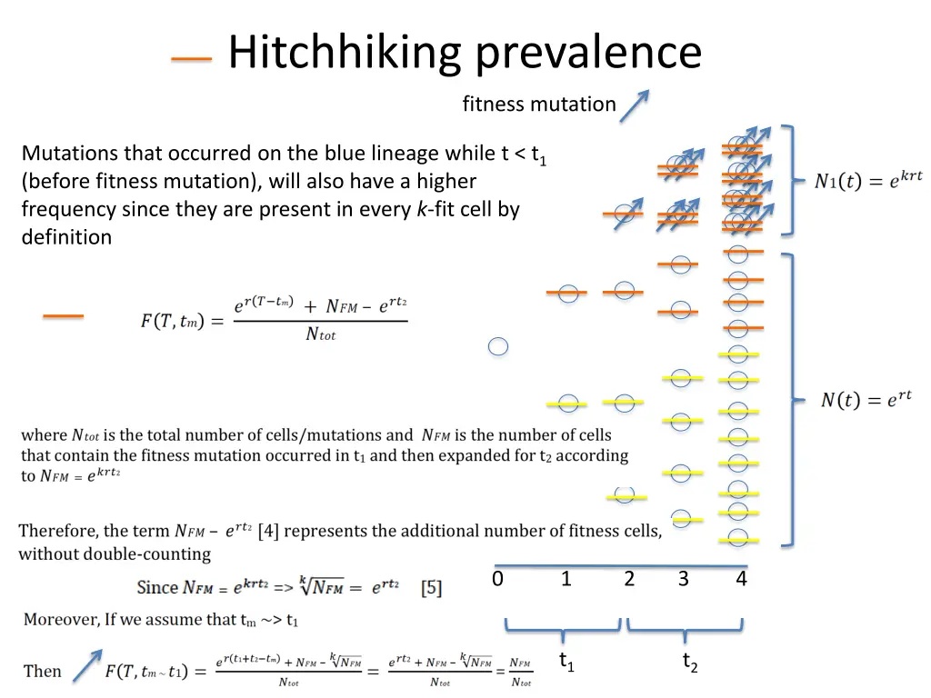 hitchhiking prevalence 1