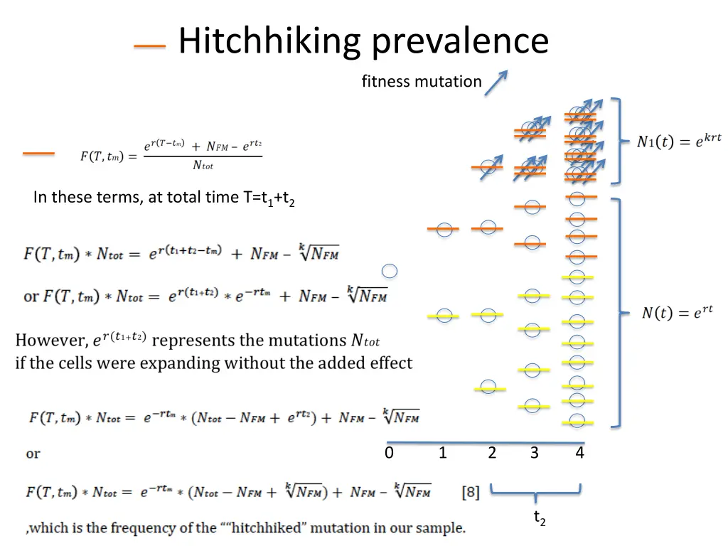 hitchhiking prevalence 2
