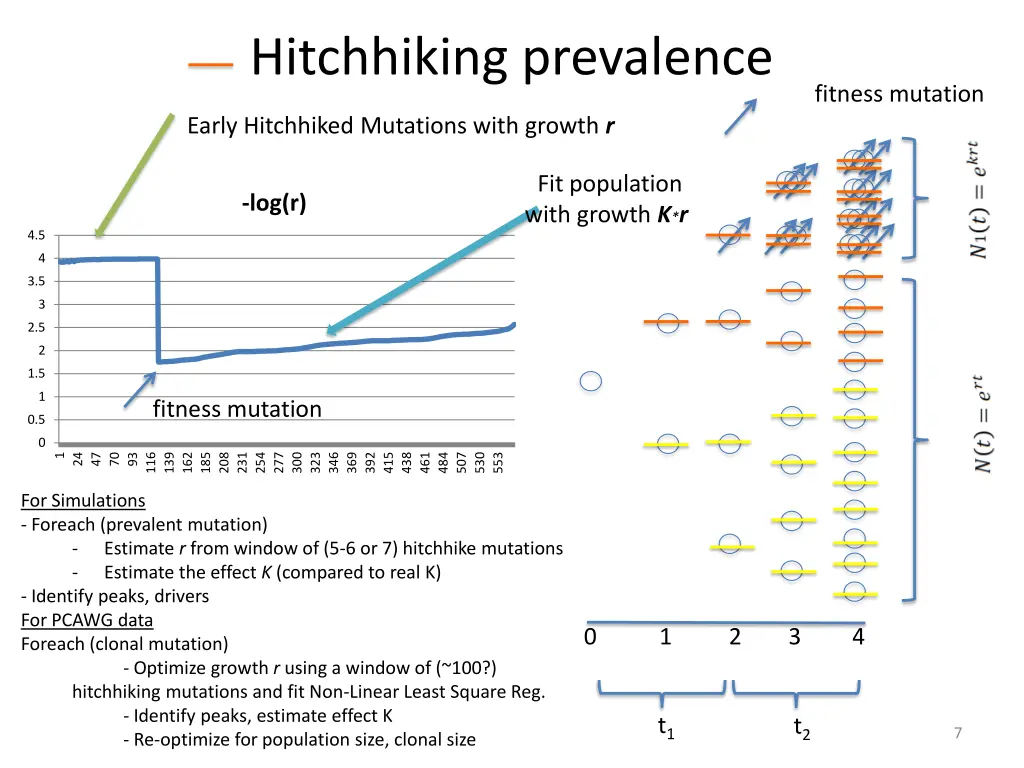 hitchhiking prevalence 4