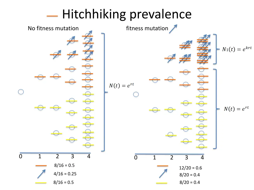 hitchhiking prevalence