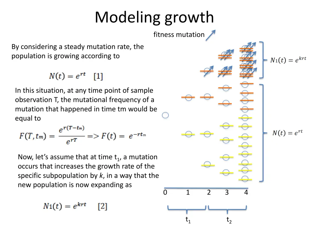 modeling growth